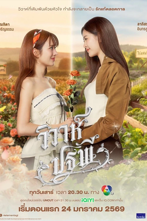 4 Elements: The Earth The Series